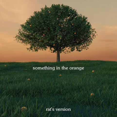 something in the orange - rat's version