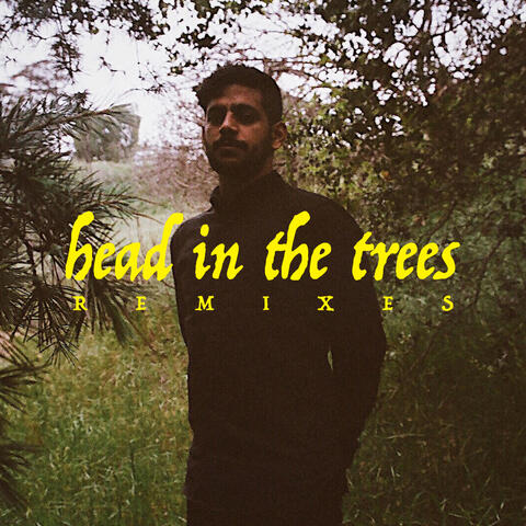 Head In The Trees