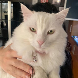 Intense Slime Sounds (No Talking)