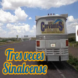 Te Busque