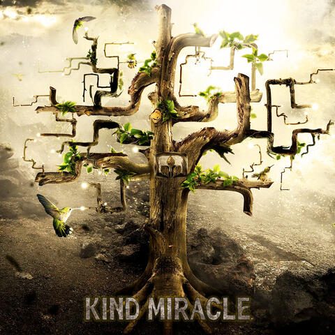 Kind Miracle