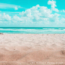 Distant Beach