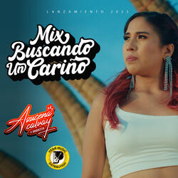 Mix Buscando Un Cariño