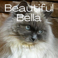 Beautiful Bella