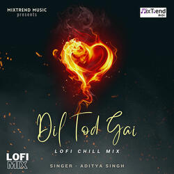 Dil Tod Gai - Lofi