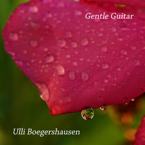 Gentle Guitar