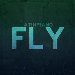 Fly