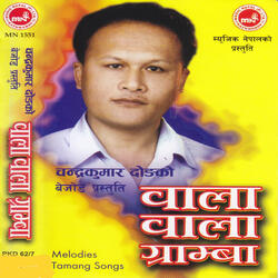 Aammaile Hoi