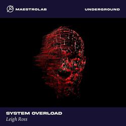 System Overload