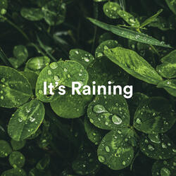 Raining Dreams and Slumber