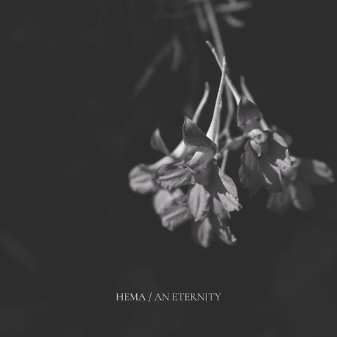 An Eternity