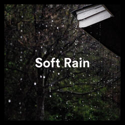 Loosing Your Thoughts To The Rain