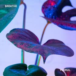 BREATHE