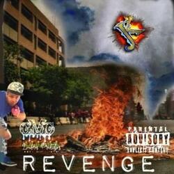 REVENGE