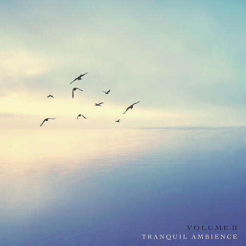 Tranquil Ambience II
