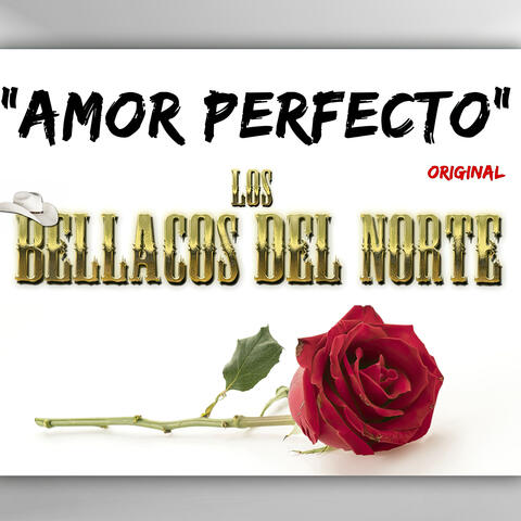 Amor Perfecto