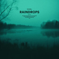 raindrops (sped up)