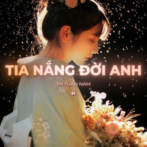 Tia Nắng Đời Anh (Lofi)