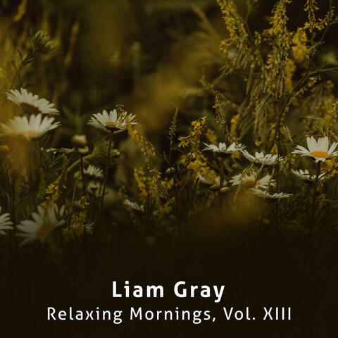 Relaxing Mornings, Vol. XIII