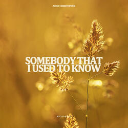 Somebody That I Used to Know
