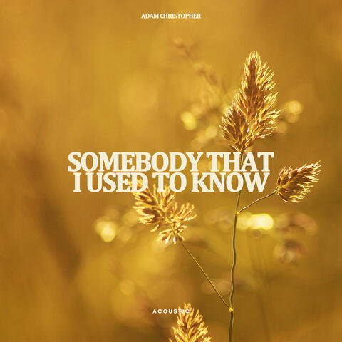 Somebody That I Used to Know
