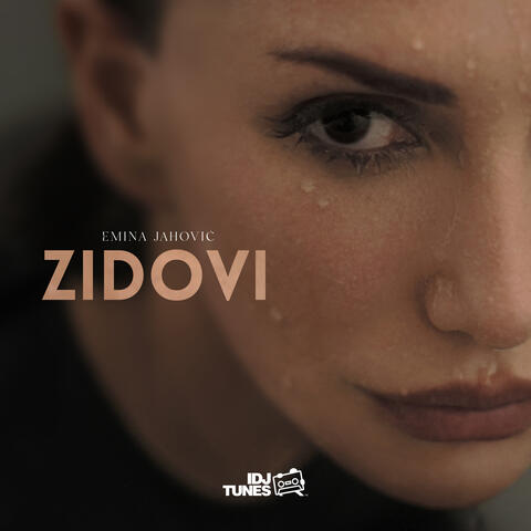 Zidovi