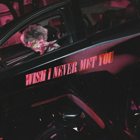 Wish I Never Met You