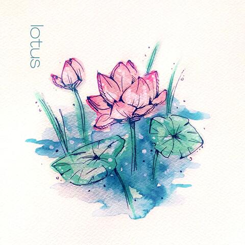 Lotus