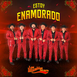 Estoy Enamorado