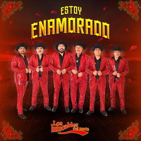 Estoy Enamorado