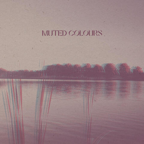Muted Colours