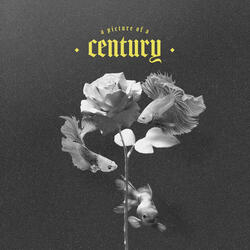 Picture Of A Century