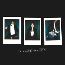 Picture Perfect