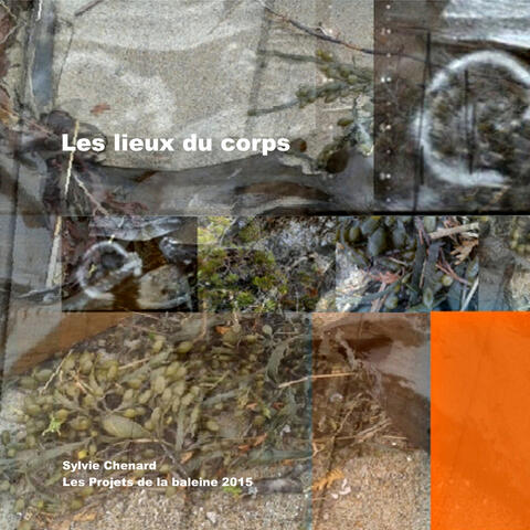 Les lieux du corps