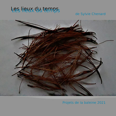 Les lieux du temps