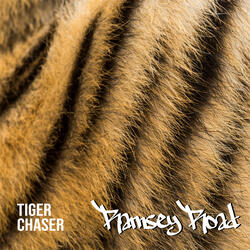 tiger chaser