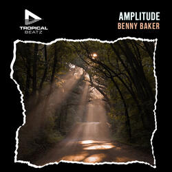 Amplitude