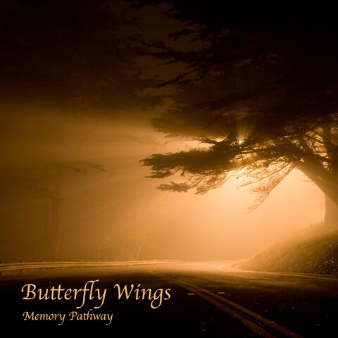 Butterfly Wings