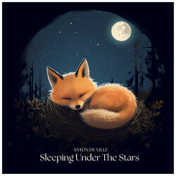 Sleeping Under The Stars