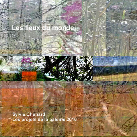 Les lieux du monde