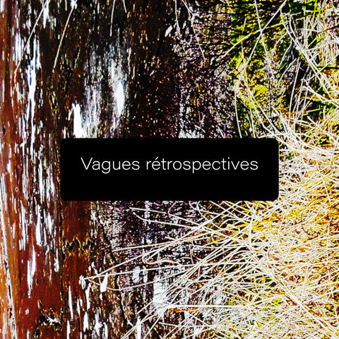 Vagues rétrospectives