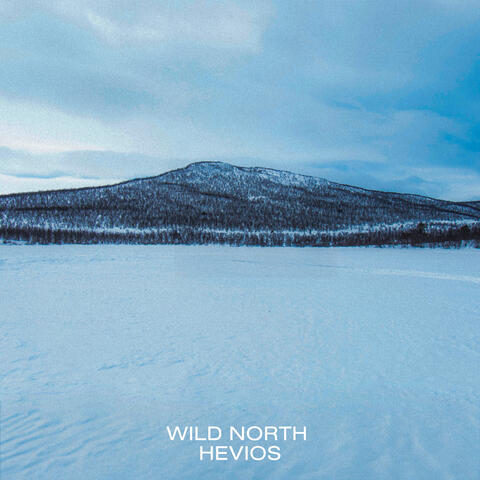 Wild North