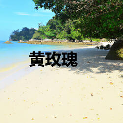 随缘遇见