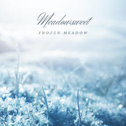 Frozen Meadow