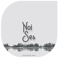 White Winter Noise