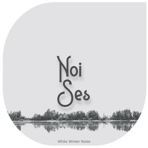 White Winter Noise