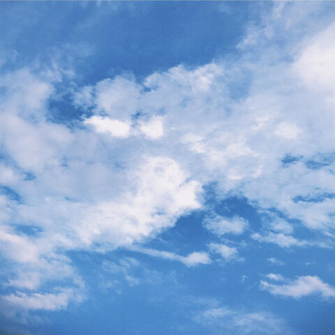 Touched The Sky