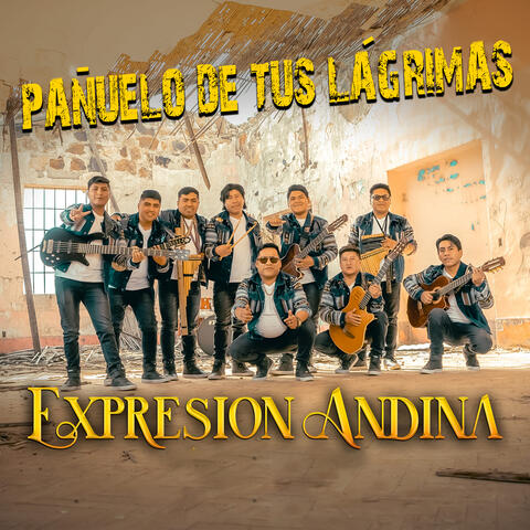 Pañuelo De Tus Lagrimas
