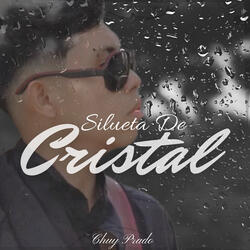 Silueta De Cristal