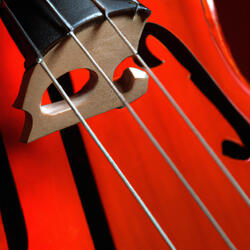 Cello Heartstrings